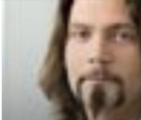 RIS.jpg