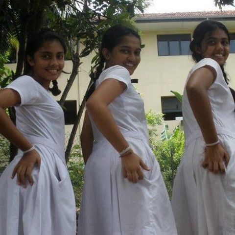 RIS.jpg