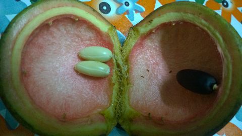 RIS.jpg