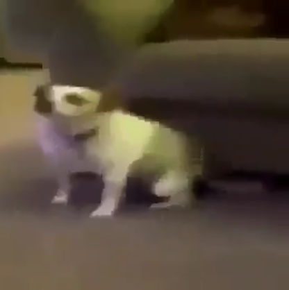 Beztytuu.png