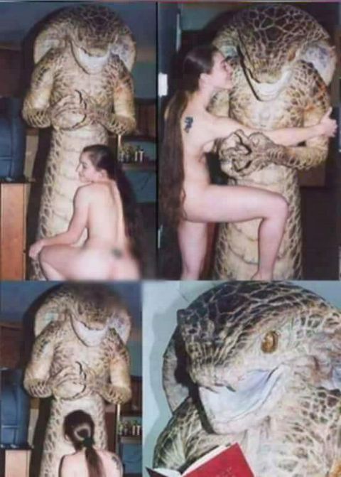 RIS.jpg