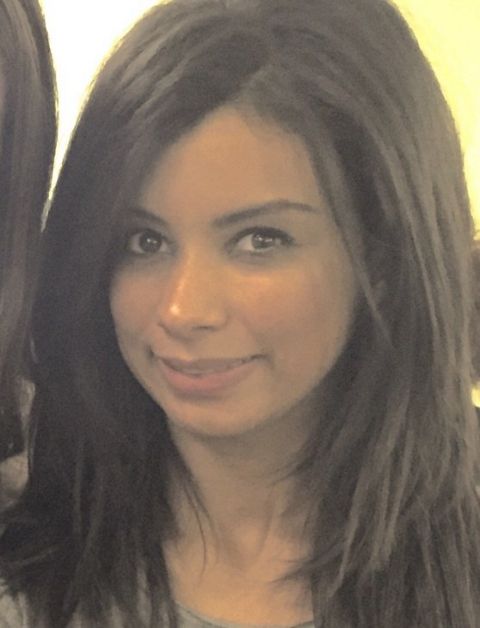 RIS.jpg