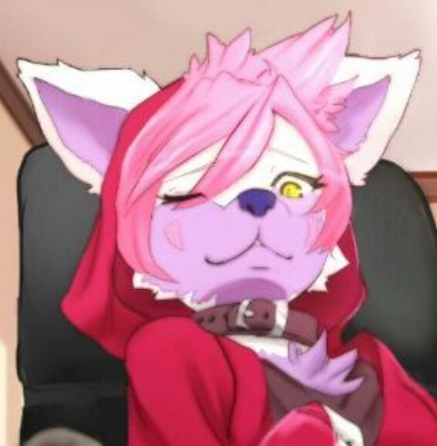 RIS.jpg