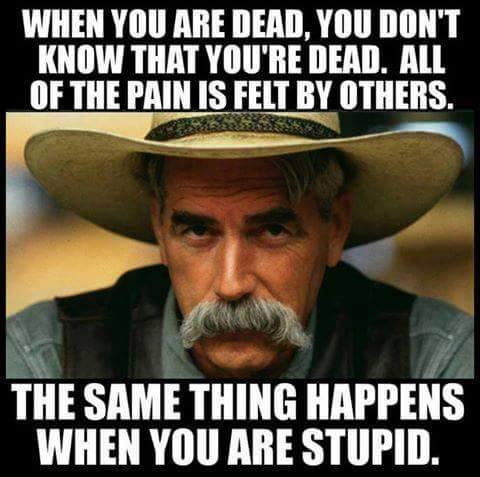 dead_n_stupid.jpg