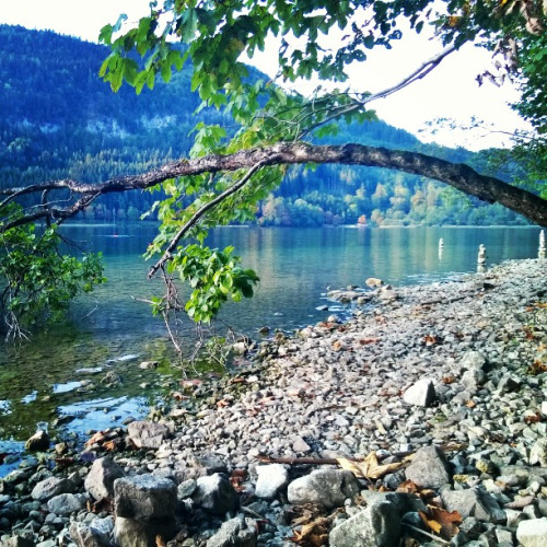 binary.jpeg