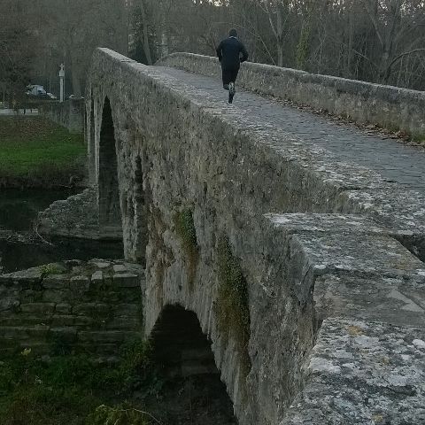 RIS.jpg