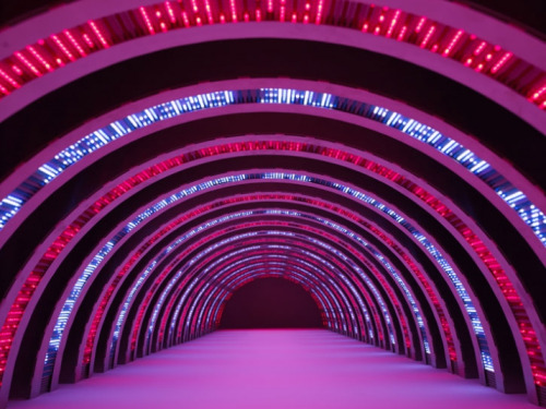 binary.jpeg