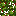 Gooseberry texture