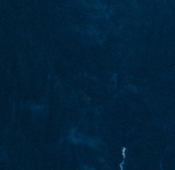 screen_2016-12-30_11-25-15_wingggdow.png