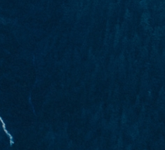 screen_2016-12-30_12-06-17_window.png