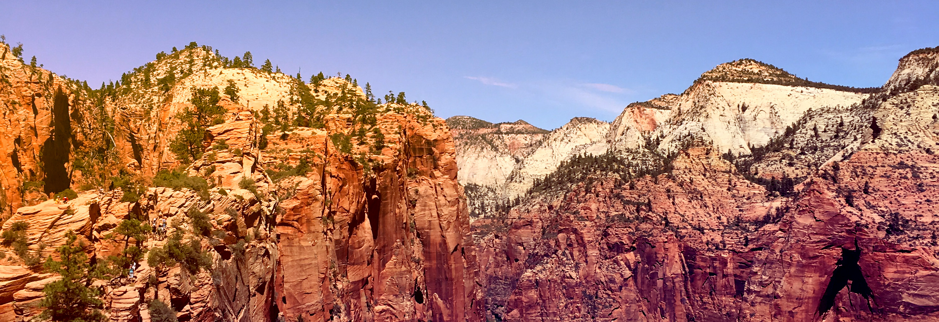 Zions