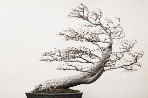 binary.jpeg