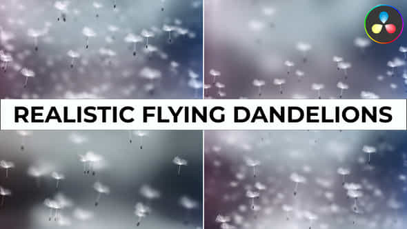 52725045-realistic-flying.jpg