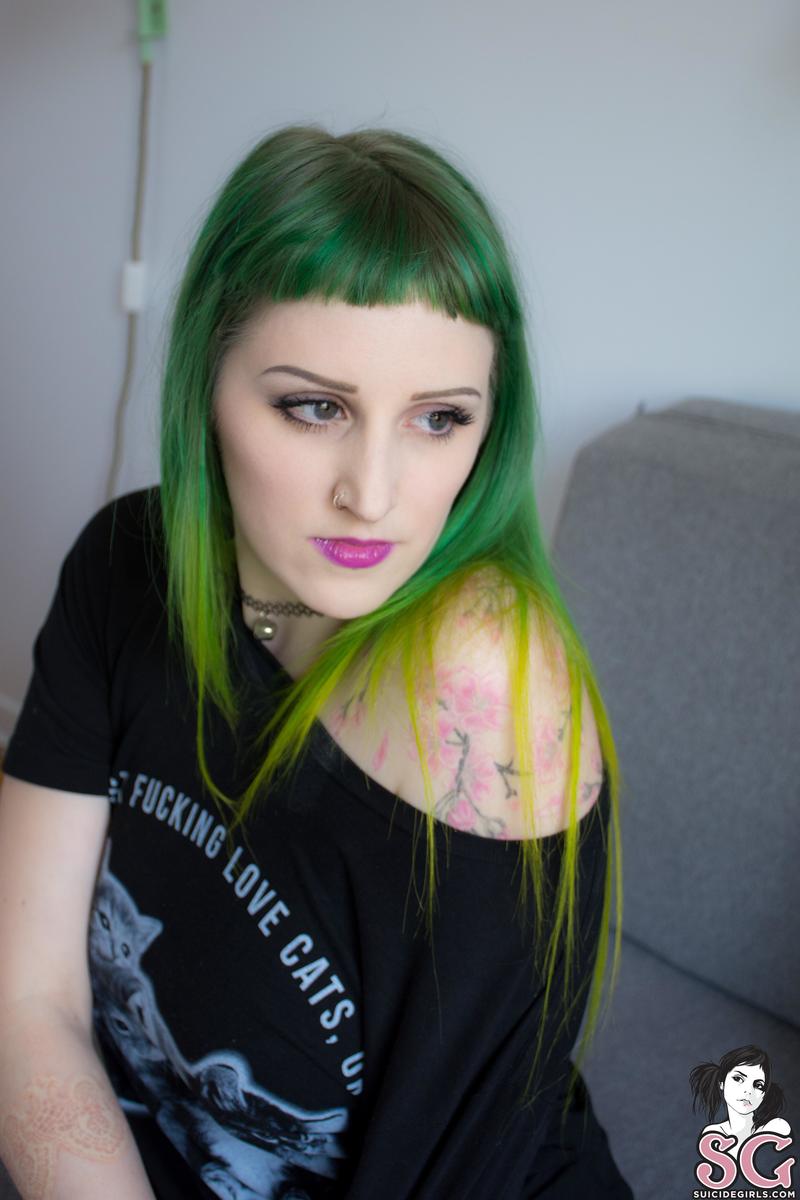 maevee-lapetitechatte-15.jpg