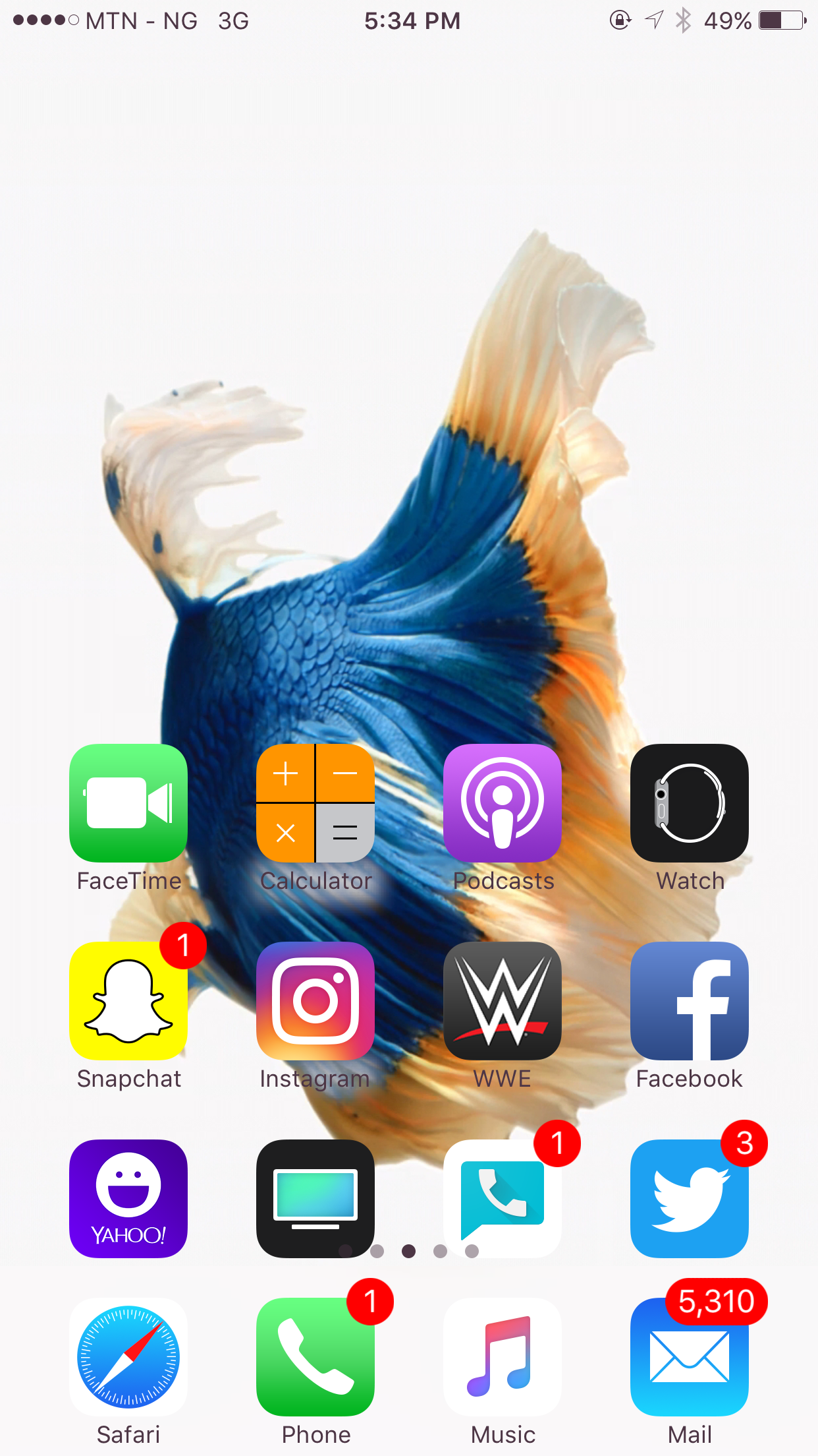 IMG_3486.PNG