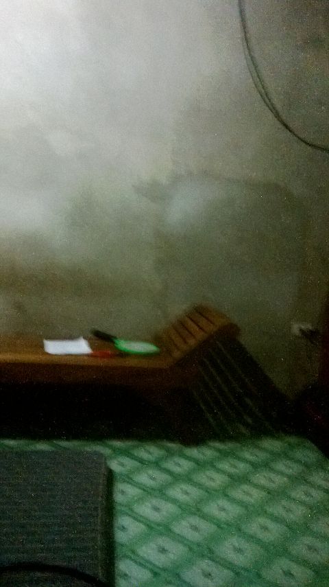 RIS.jpg