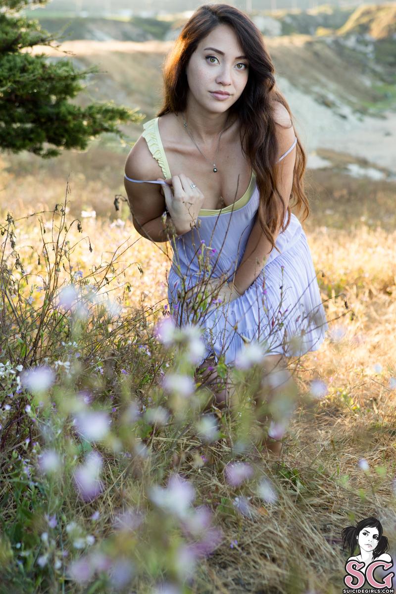 asami-wildflower-01.jpg