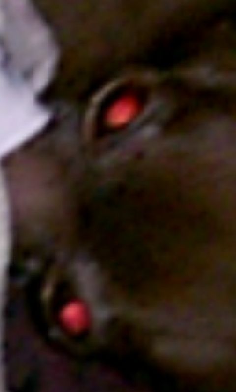 RIS.jpg