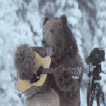 2001882.gif