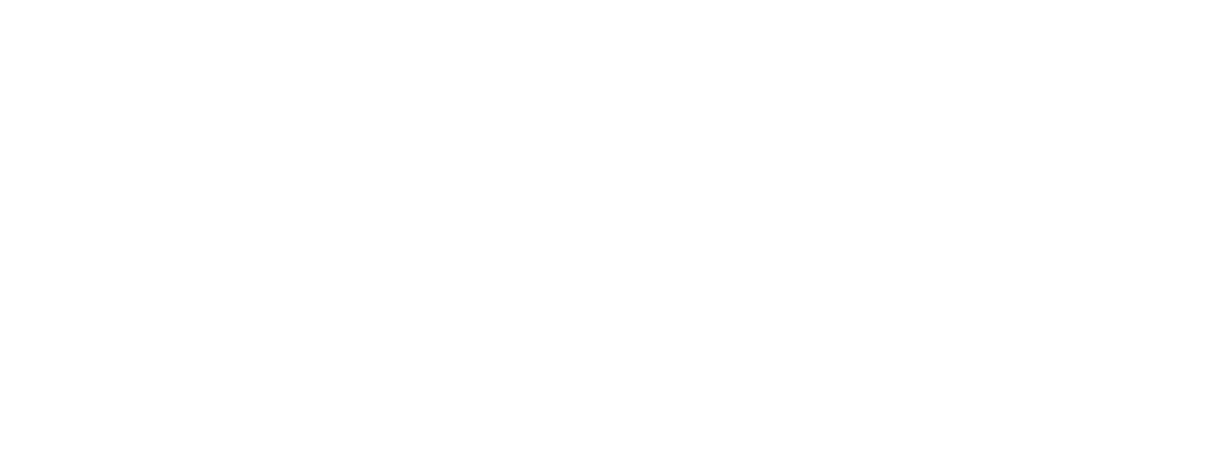 Logo_Misfit_white.png