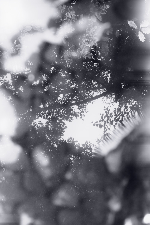 binary.jpeg