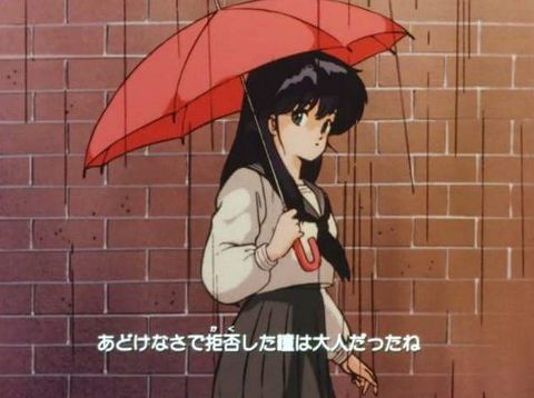 RIS.jpg