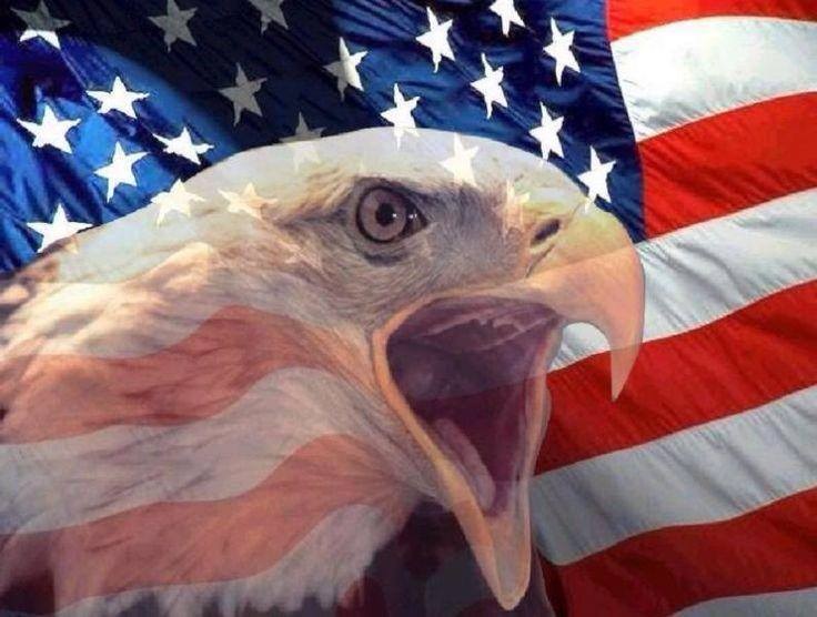 Eagle.jpg