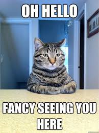 untitledHellocat.png