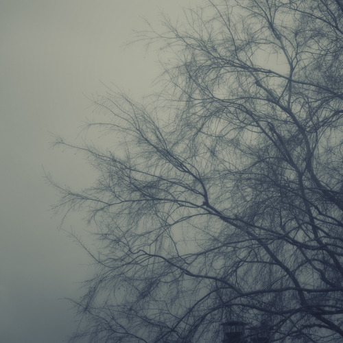 becaee61a9f277f6139fa3a0e2b62c04.jpg