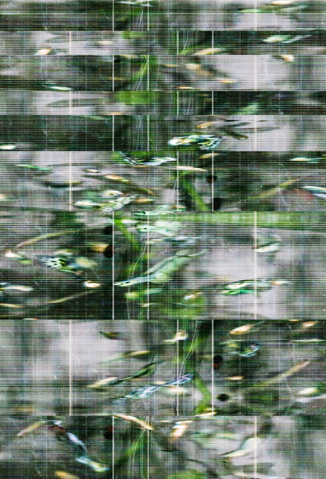 6a32ccb354a381355917ca9bccb7acde.jpg