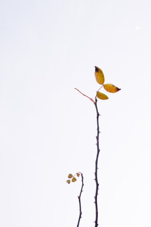3c05fd15a6cdc9309c5a28614a5c74a3.jpg