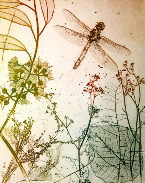 376955a85fabf1c08f47f98c0d8fae3c.jpg