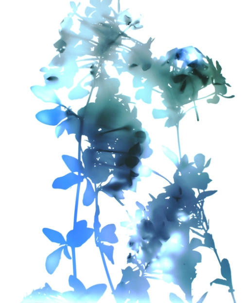 e20b26b460c94d140c746aa8dfb57047.jpg