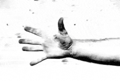 baf1175e4d0ac9e3cb61c9738fdd360e.jpg