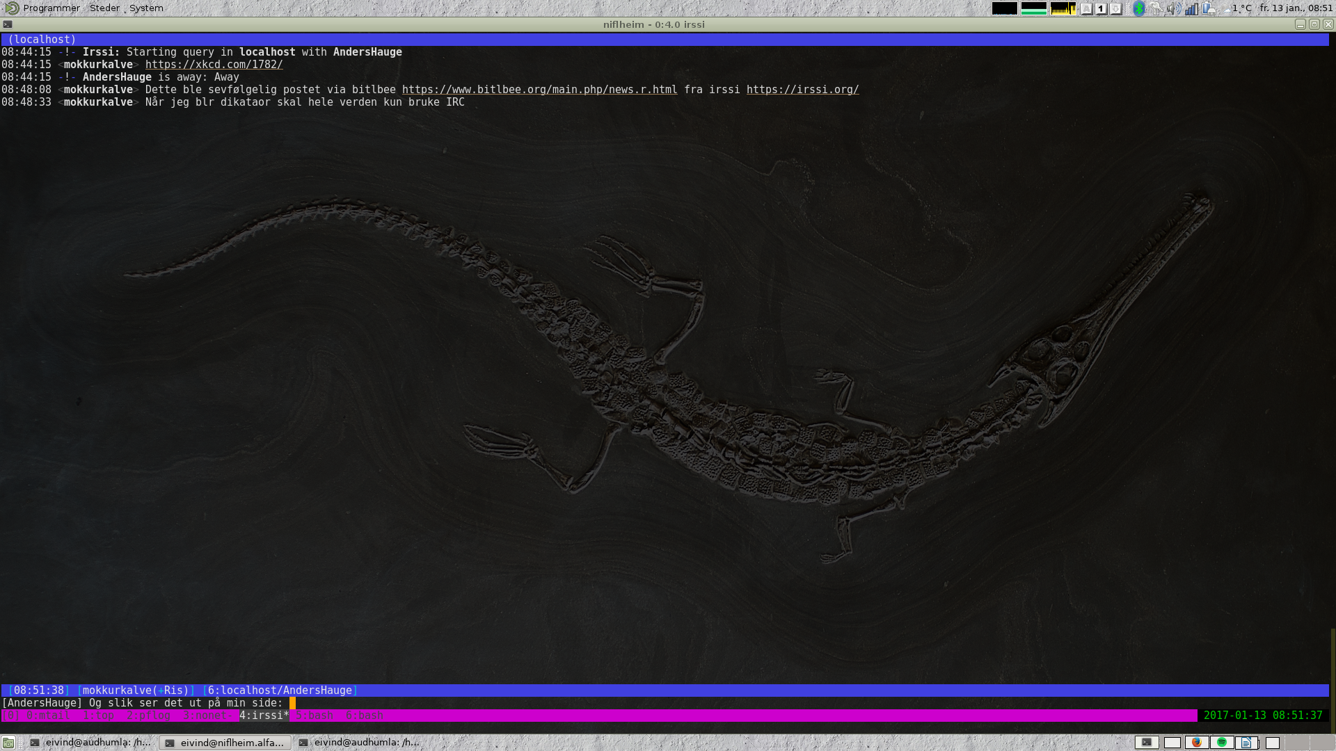 irssi in tmux