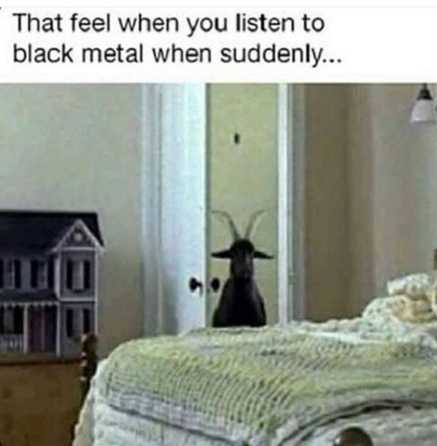 RIS.jpg