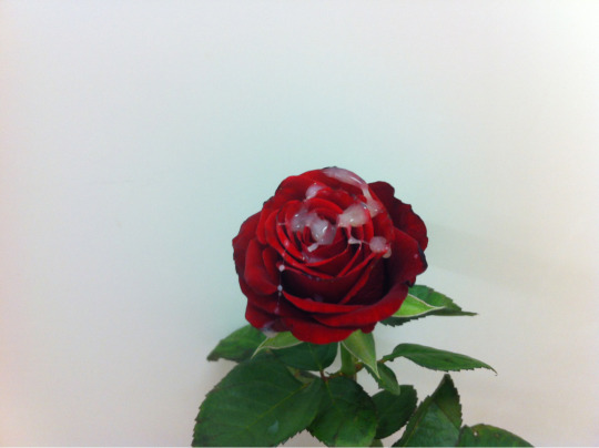 5439966f61cbfc1e1b53ad0d6c08d950.jpeg