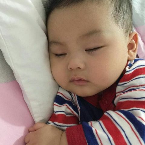 RIS.jpg