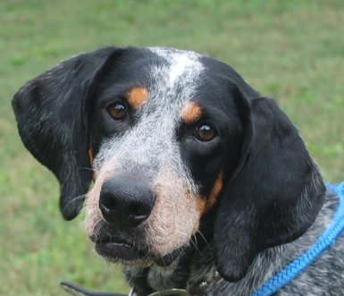 rsz_mamie_close_up.jpg