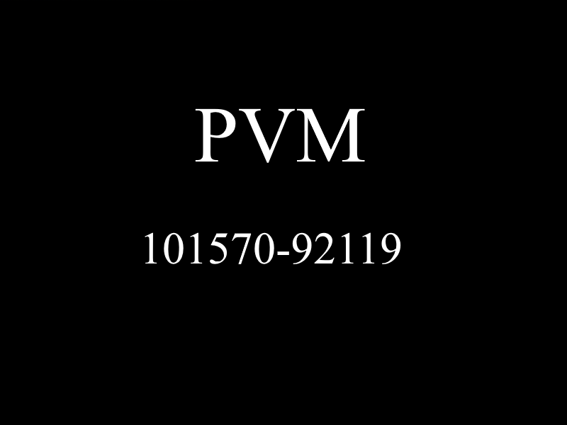 PVM2.png