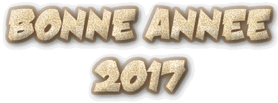 animation-bonne-annee-2017.gif