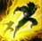 flash.PNG