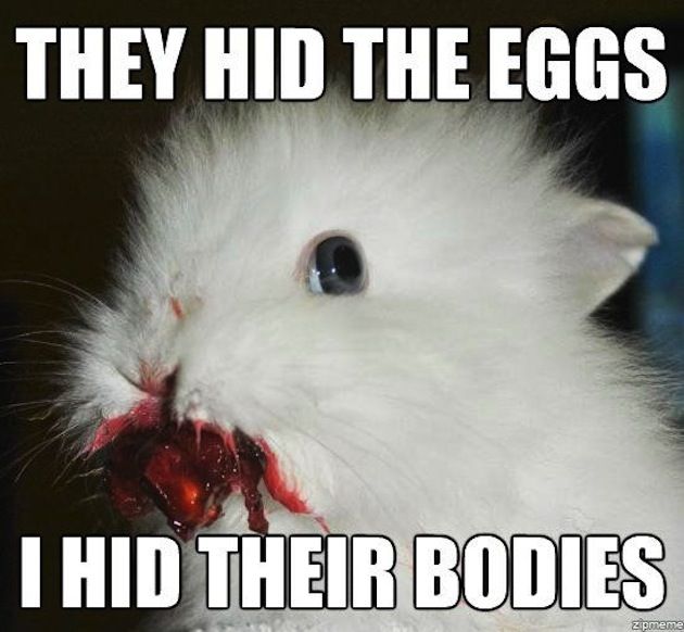 Bunny
