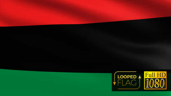 27238257-pan-african.jpg