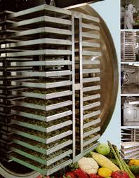 Food freeze dryer