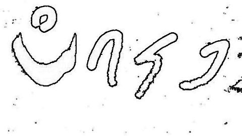 RIS.jpg