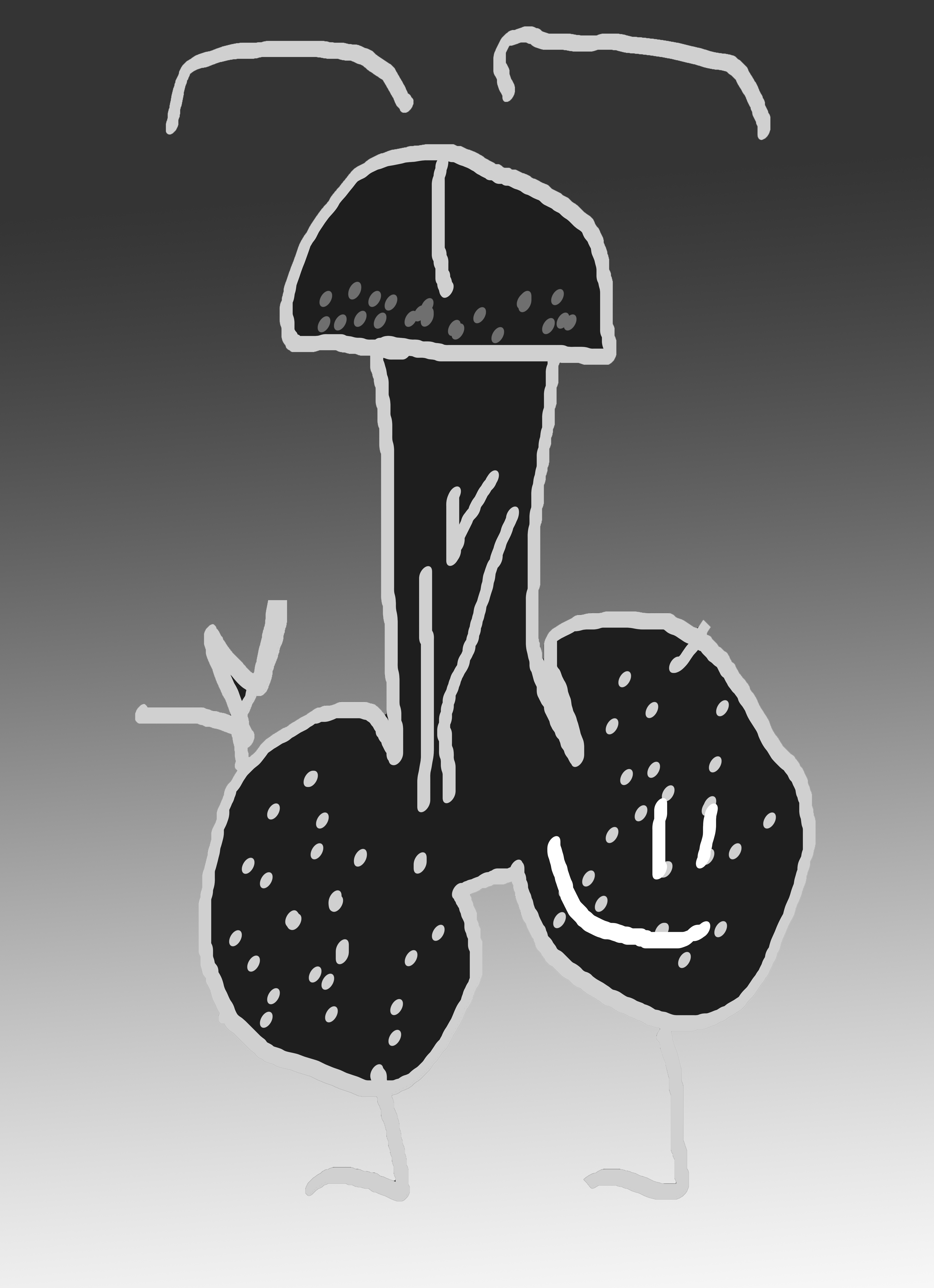 dick