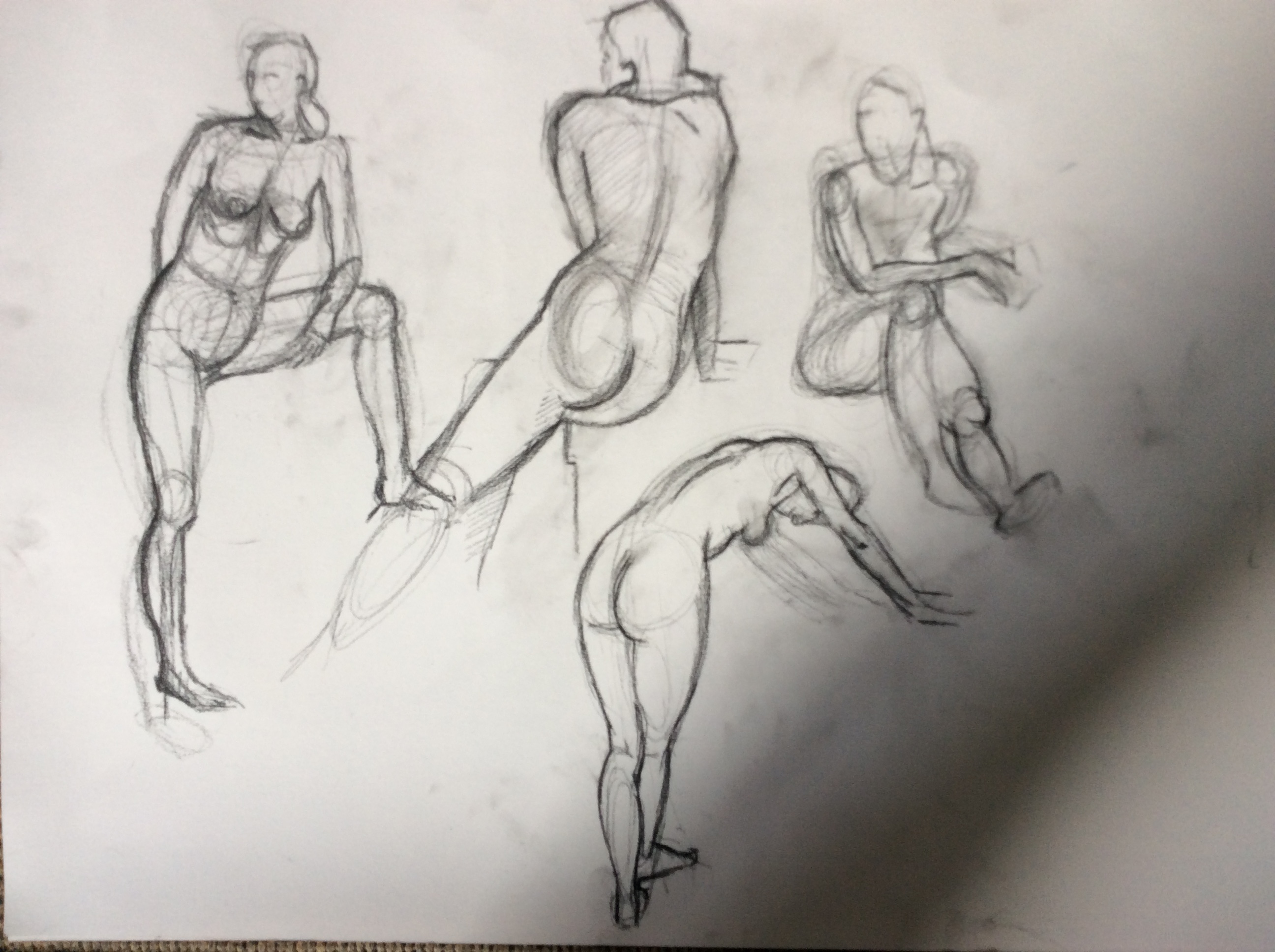 Life studies