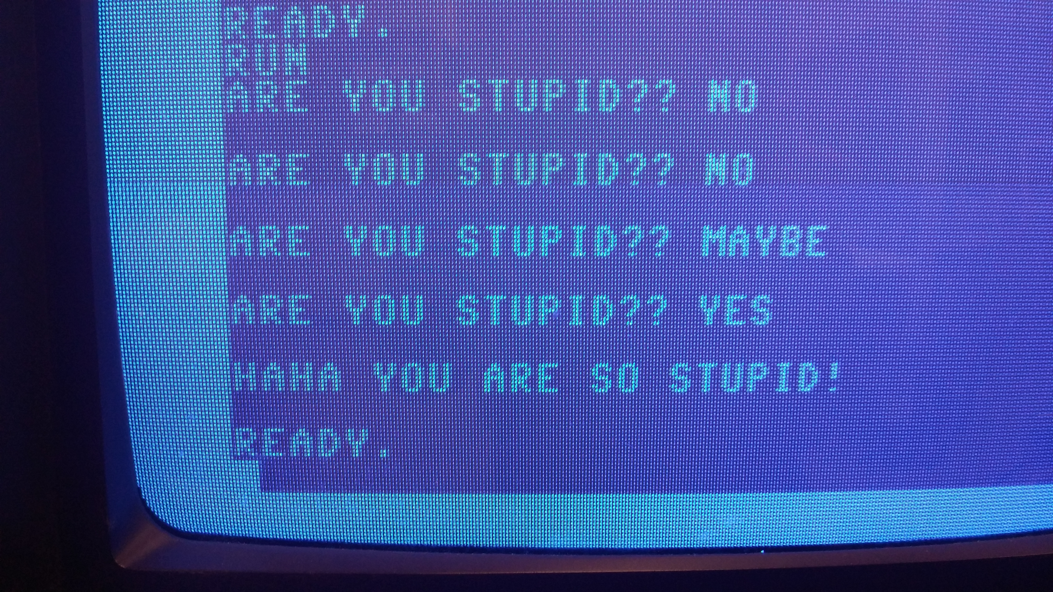 AREYOUSTUPID.jpg