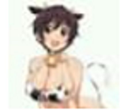 RIS.jpg